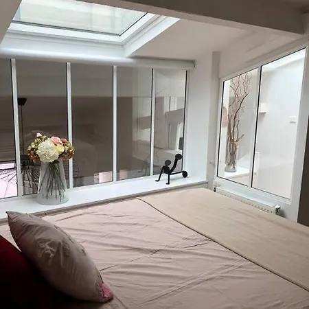 Appartement Cosy Esprit Loft *