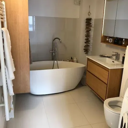 Appartement Cosy Esprit Loft
